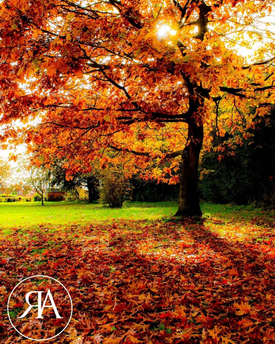 Autumn landscape photography print